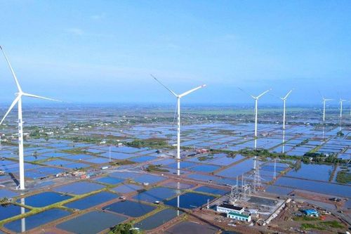3 phương án chọn nhà đầu tư làm điện gió ngoài khơi