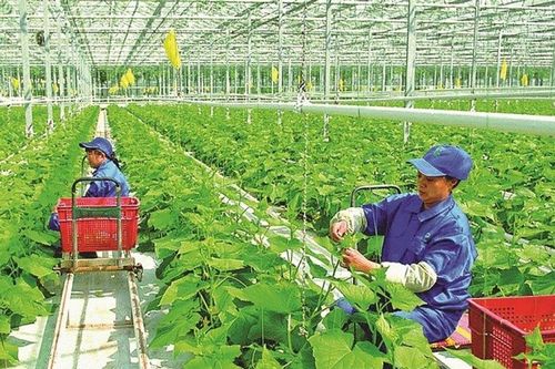 Kết nối các sản phẩm khoa học công nghệ nông nghiệp với doanh nghiệp