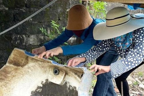 Ổ dịch sốt xuất huyết ở Hà Tĩnh: Được khống chế nhưng vẫn còn nhiều nguy cơ