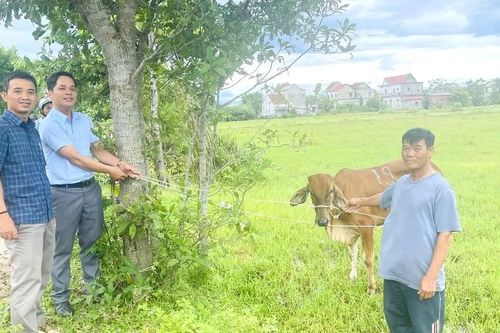 Thoát khỏi xã đặc biệt khó khăn nhờ tận dụng hiệu quả từ nhiều nguồn vốn