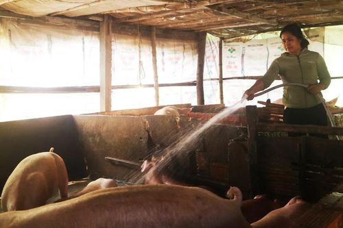 'Ấn tượng' mô hình giúp phụ nữ Khmer nông thôn thoát nghèo
