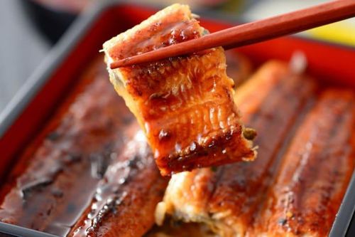 Hàng trăm người ngộ độc vì ăn đặc sản lươn nướng Nhật Bản