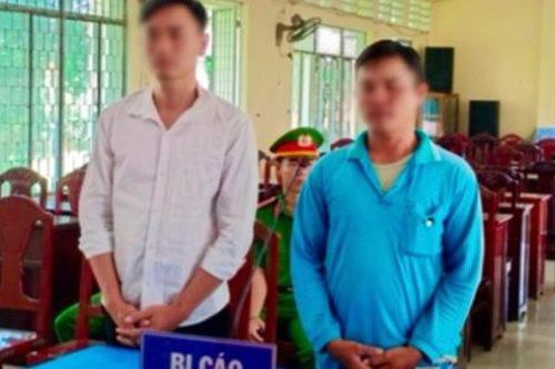 Rủ nhau đi trộm mai cảnh để bán lấy tiền tiêu xài