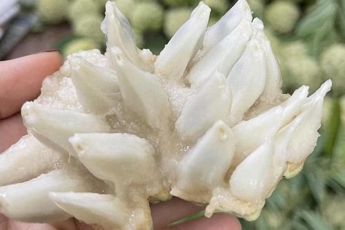 Đắt hơn sầu riêng, loại quả 'mở mắt' đưa về phố bán 250 nghìn/kg