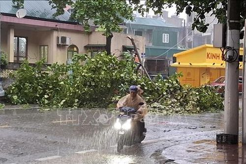 Mưa lớn dịch chuyển về phía Đông, Quảng Ninh chủ động xả nước bảo vệ hồ thủy lợi