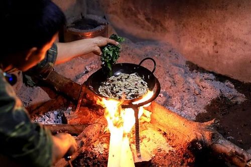 Loại côn trùng có nọc độc nguy hiểm được săn lùng làm mồi nhậu, giá nửa triệu đồng/kg