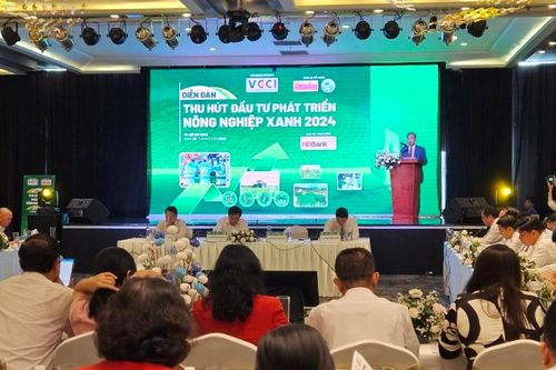 Nhiều thách thức trong hình thành chuỗi sản xuất nông nghiệp xanh