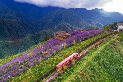 Ngắm nhìn Việt Nam đa sắc màu qua ô kính tàu hỏa