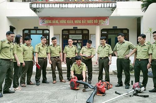 Công tác cán bộ góp phần bảo vệ, phát triển rừng