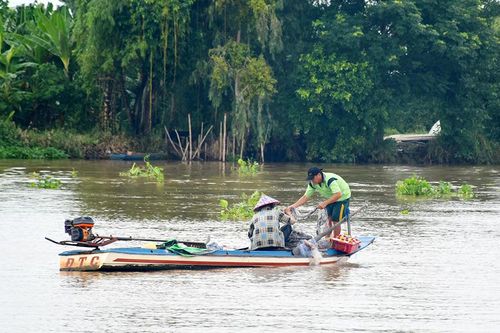 Chờ mùa nước nổi