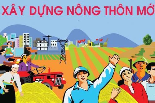 Từ ngày 1-8, điều tra thu nhập bình quân đầu người thuộc Bộ tiêu chí quốc gia về nông thôn mới