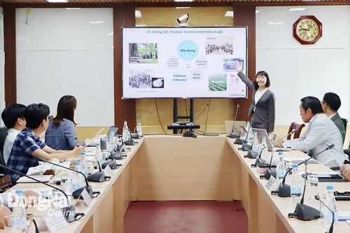 Doanh nghiệp Nhật Bản muốn hợp tác sản xuất vật liệu từ thân cây chuối tại Đồng Nai