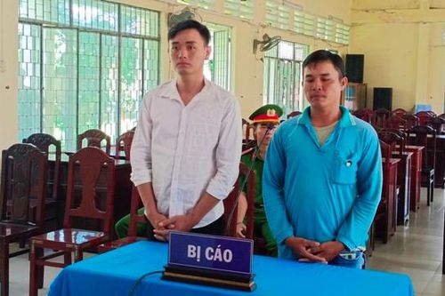 Vướng vòng lao lý vì hành vi trộm cây kiểng