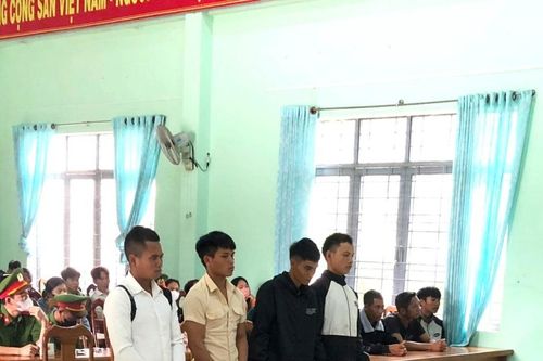 Đak Pơ: Xét xử lưu động 4 bị cáo vi phạm quy định về khai thác, bảo vệ rừng