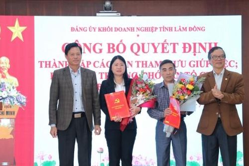 Đảng ủy Khối Doanh nghiệp thành lập các ban tham mưu giúp việc