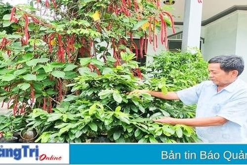 Những thương binh 'tàn nhưng không phế'