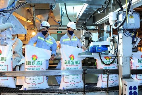 Đạm Cà Mau lãi đậm quý II, vượt kế hoạch năm