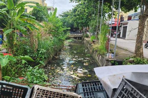 Nam Định: Nhiều dòng kênh ô nhiễm chờ được hồi sinh