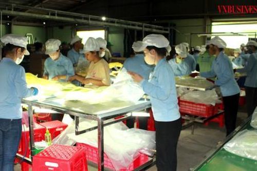 Thấy gì từ số doanh nghiệp rời 'cuộc chơi' và nghịch lý kéo dài