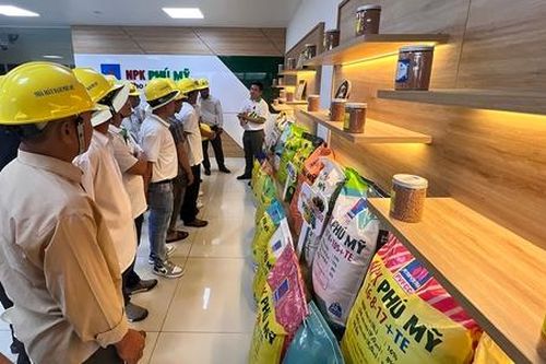 NPK Phú Mỹ gắn kết 'Đất màu mỡ - Mía ngọt ngào'