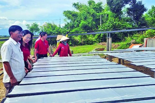 Tìm đầu ra cho sản phẩm 'made in Quảng Nam'