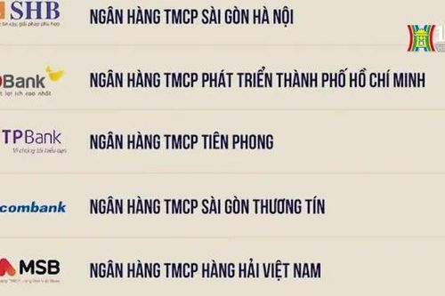 10 ngân hàng tư nhân nộp 36.800 tỷ đồng vào ngân sách