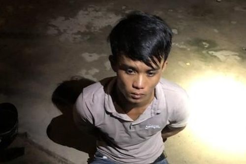 Bắt hai đối tượng được 'thuê' vận chuyển động vật quý hiếm