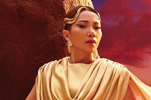 Không còn đủ tài chính, một diva Việt phải hoãn show vô thời hạn, trả tiền vé cho khán giả