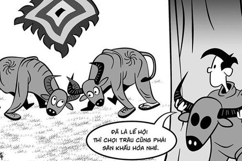 Phỏng vấn pháo hoa