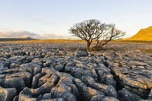 Cánh đồng đá khổng lồ ở Anh Quốc