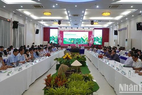 Hướng tới nền kinh tế xanh và phát triển bền vững