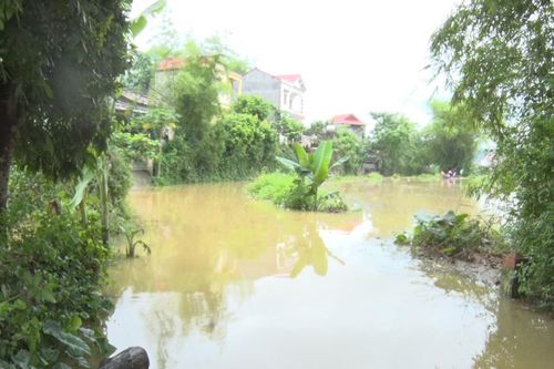 7 người chết và mất tích do mưa lũ