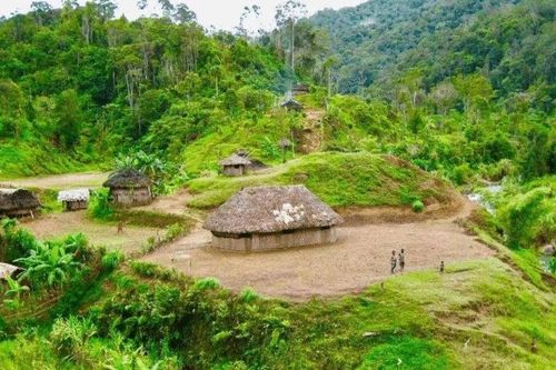 Bộ lạc nguyên thủy sống trong rừng sâu, duy trì tục sinh con như 'gà đẻ trứng'