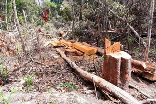 Kiến nghị xử lý trách nhiệm lãnh đạo Sở TN&MT Gia Lai liên quan gói thầu đo đạc