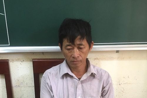 Khởi tố đối tượng mua bán cá thể rùa quý, hiếm