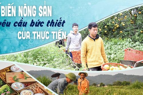 Bài 2: Kết nối sản xuất và tiêu thụ, thúc đẩy chế biến tăng giá trị nông sản