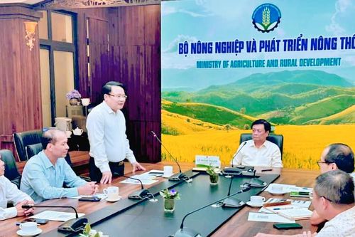 Bộ Nông nghiệp và Phát triển nông thôn phê duyệt kế hoạch hỗ trợ phát triển kinh tế huyện Kỳ Sơn