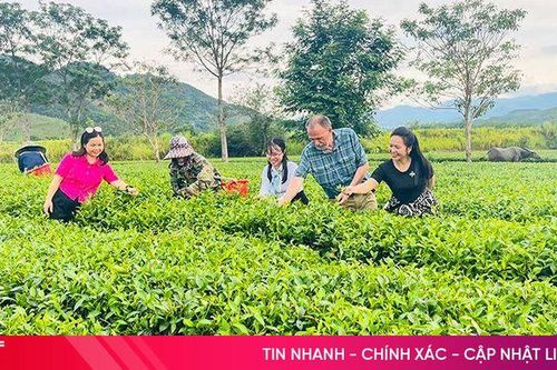 Hà Tĩnh cấp 73 mã số vùng trồng cho nông sản