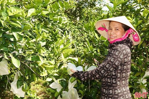 Hành trình 'giảm nghèo, tăng khá và giàu bền vững' ở Đức Lĩnh