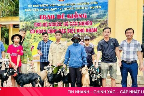 Hỗ trợ 27 con dê giống cho các hộ nghèo ở Hương Sơn