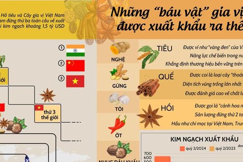 Những 'báu vật' gia vị Việt được xuất khẩu ra thế giới