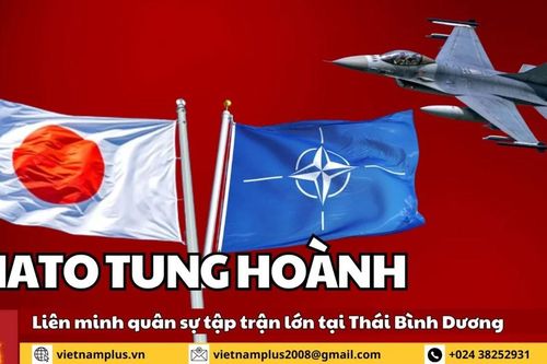 8+ Điểm nóng: Máy bay NATO hội quân ở Nhật Bản, tung hoành khắp Thái Bình Dương