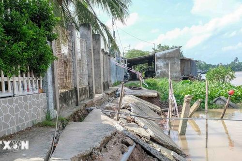 Cần Thơ: Xảy ra 24 vụ sạt lở bờ sông, gây thiệt hại hơn 14,5 tỷ đồng
