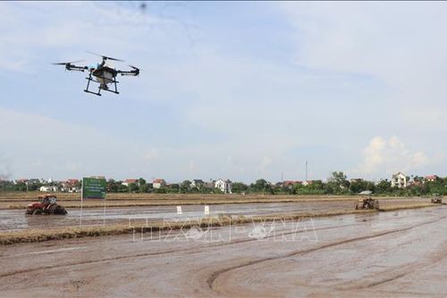 Nâng tầm sản xuất nông nghiệp từ cánh đồng công nghệ