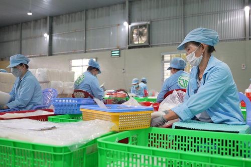 Doanh nghiệp 'biến' nông sản địa phương thành sản phẩm xuất khẩu