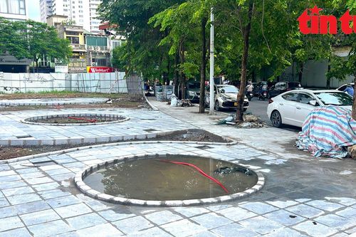 Vườn hoa, cây xanh dần hình thành trên 'đất vàng' bỏ hoang nhiều năm ở Hà Nội