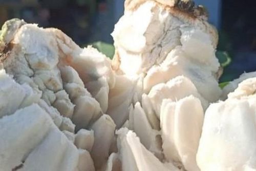Loại quả 'mở mắt' được dân phố săn tìm, nông dân bỏ túi nửa tỷ đồng/ha