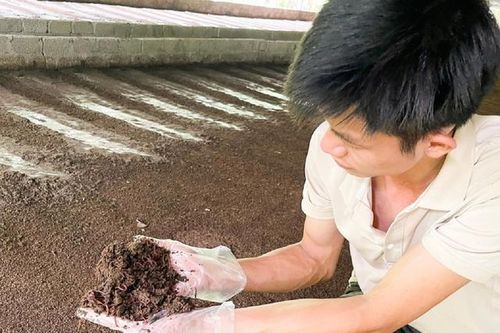 Anh nông dân nhẹ nhàng bỏ túi 1 tỷ đồng/năm nhờ nuôi con vật 'đáng sợ' chỉ ăn chất thải