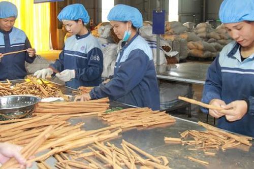Là nước xuất khẩu gia vị hàng đầu thế giới, tại sao Việt Nam vẫn nhập khẩu mặt hàng này?