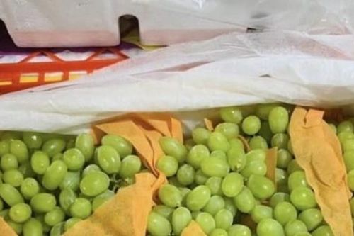 Nho Trung Quốc ngập chợ, giá chỉ từ 20 nghìn đồng/kg